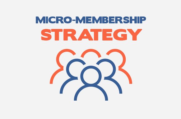 Micro-Membership Strategy – PLR Database Micro-Membership Strategy - Image 1
